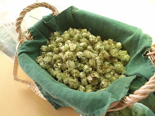 simcoe hops